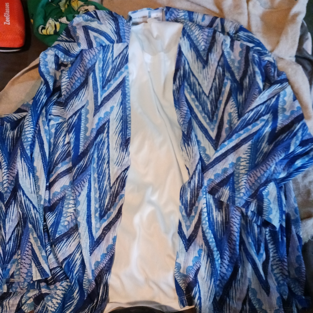 Dressy Blouse/Camisole